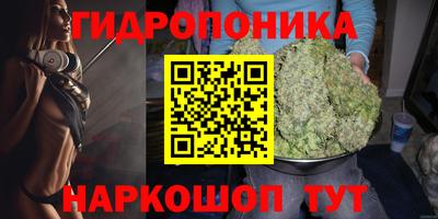 mdpv Новокубанск