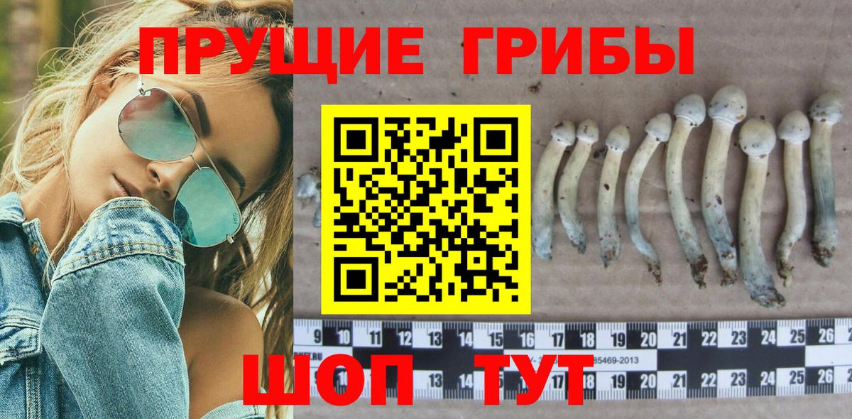 Галлюциногенные грибы ЛСД  сколько стоит  Вход с VPN  Сегежа  Галлюциногенные грибы мицелий 